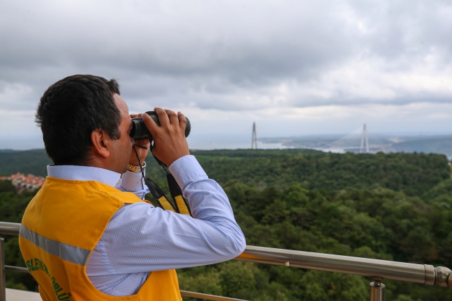 Orman yangınlarında her yıl binlerce hektar alan kül oluyor